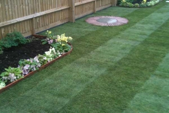 Lawn Cutting