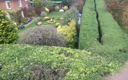Hedge Cutting