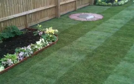 Lawn Turfing