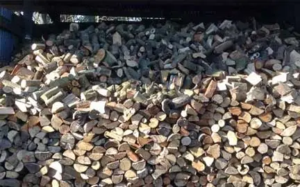 Firewood