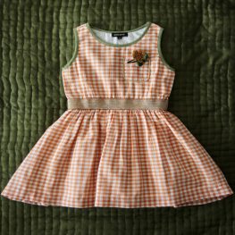 Derbardeur Dress Orange Check