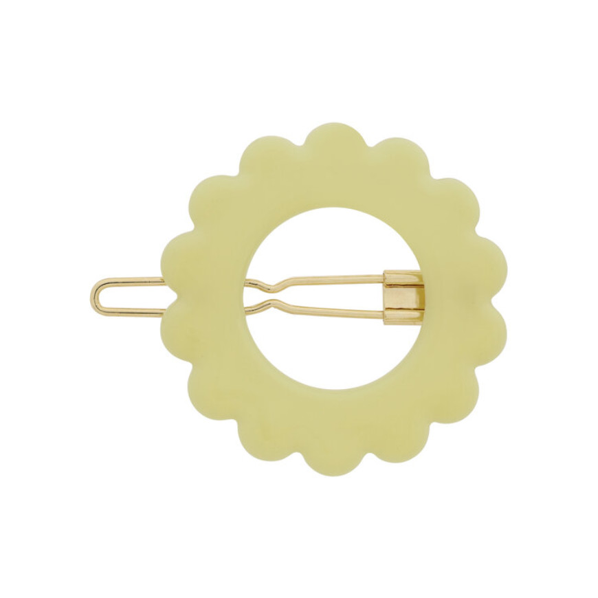 Daisy_587.jpg Daisy_587.jpg